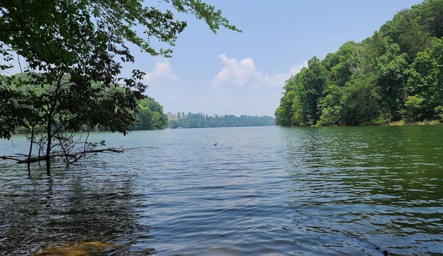 Experience tranquility near Douglas Lake 18 min