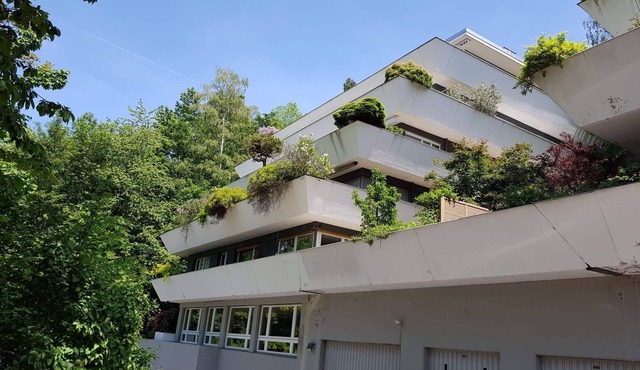 Experience very central Zug in a quiet place