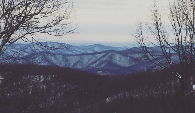 Experience Wintergreen – Fully Renovated Mountain Retreat with Year Round Views