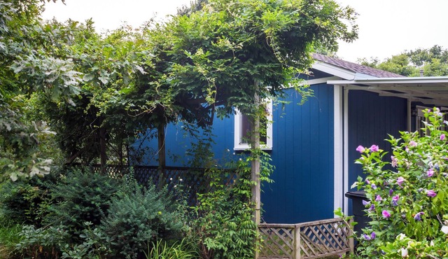 Expertise Top Tier Accommodation on a Real Working Cattle Ranch.