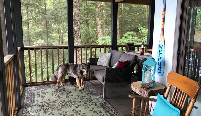 Explore an Off-Grid Waterfront Yurt Getaway on 11 Private Acres!