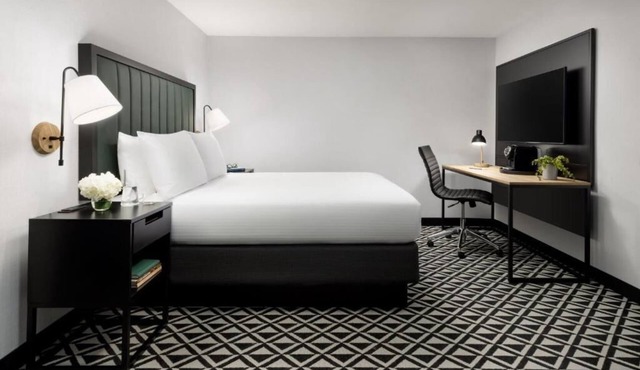 Explore and Unwind in a Beacon Street! Close to Coolidge Corner Theatre