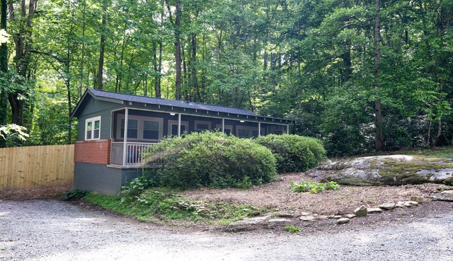 Explore & Bike from Upscale Cabin near Dupont