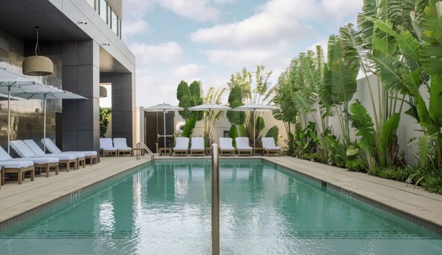 Explore Downtown Orlando! 2 Classy Rooms w/ Free Parking, Pool, Airport Shuttle!