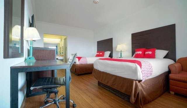 Explore From This Pet Friendly Unit Near Loyola Beach And Texas A&M