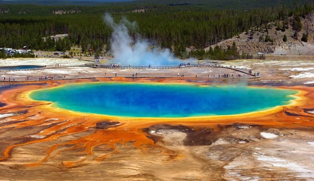 Explore Historic Cody! Pool, FREE Parking, Steps to Cody Dug Up Gun Museum!