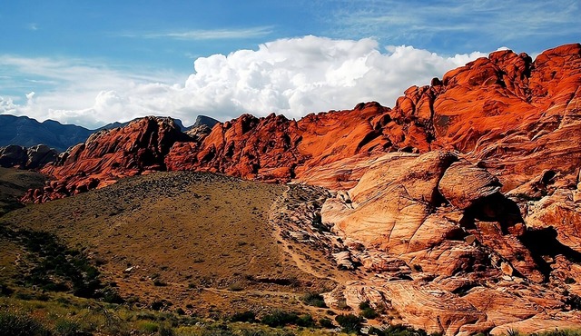 Explore Red Rock Canyon National Conservation Area! 4 Family-friendly Units!