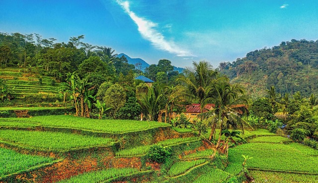 Explore Seattle and Tacoma from this room !