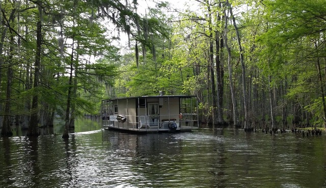 Explore the bayous of South Louisiana on your own! -Ask about 4dy SPECIAL!-
