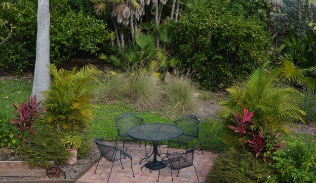 Explore the Everglades!