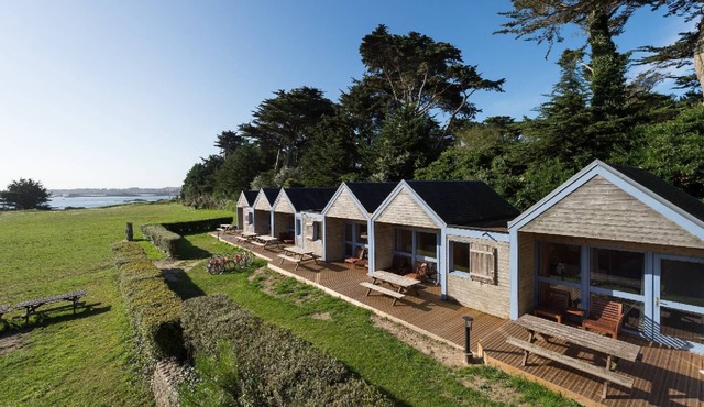 Explorez le Jardin Colonial de L'île de Batz : un Joyau du Nord-finistère, Parfa