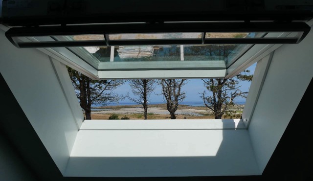 Explorez le Jardin Colonial de L'île de Batz : un Joyau du Nord-finistère, Parfa