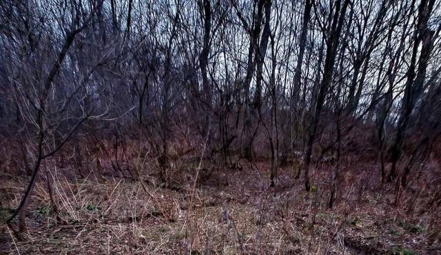 Exploring Limits Wilderness Retreat