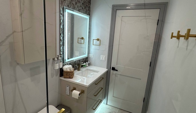 Exquisite Chicago Modern Rooftop, Sleeps 9