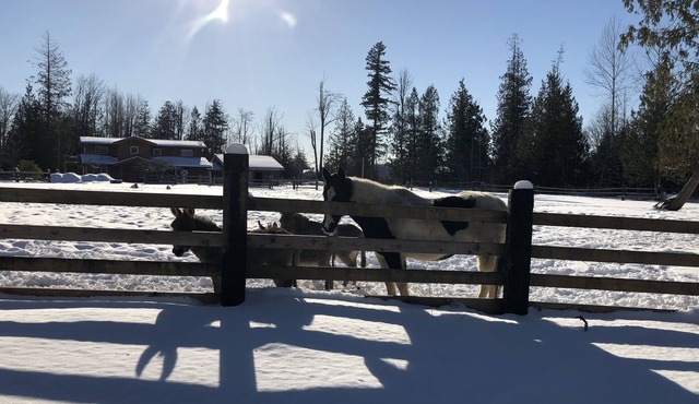 Exquisite Farm Views from Unique European Style BarnHouse