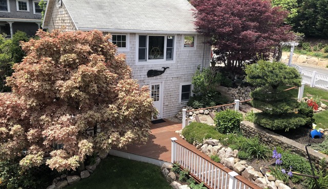 Exquisite Guest House