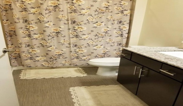 Exquisitely furnished Apartment in the heart of Buckhead Atlanta
