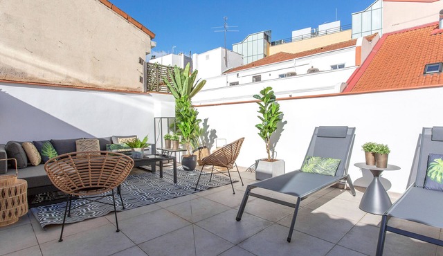 Extraordinary high-end apartment with private terrace. Madrazo IV