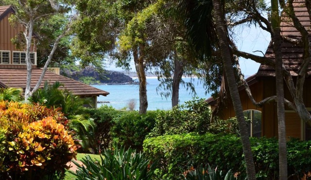 Extreme relaxation and peace! Laid back Molokai beach-hideaway awaits.