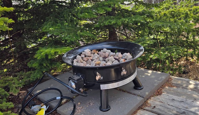 Extremely Cozy, Centrally Located 1 Bedroom Duplex That's Pet Friendly:)