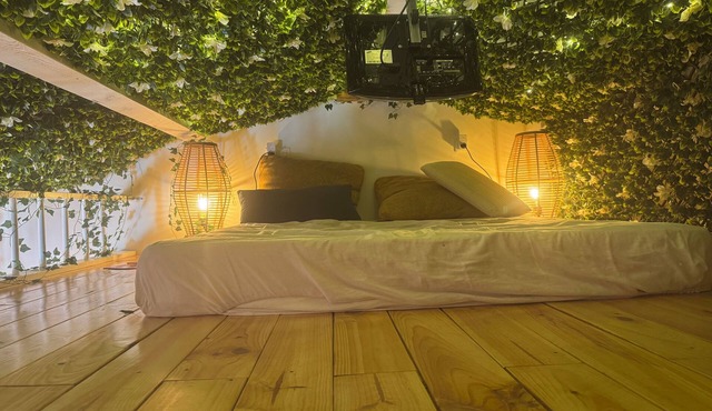 F1 Cocooning Extrêmement Calme Accès Forêt Tout Confort