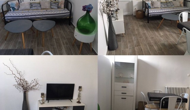 F1 Meublé 50 M2 - 1 pce + sdb wc +cuisine + Jardin + Grand Couloir Rangement