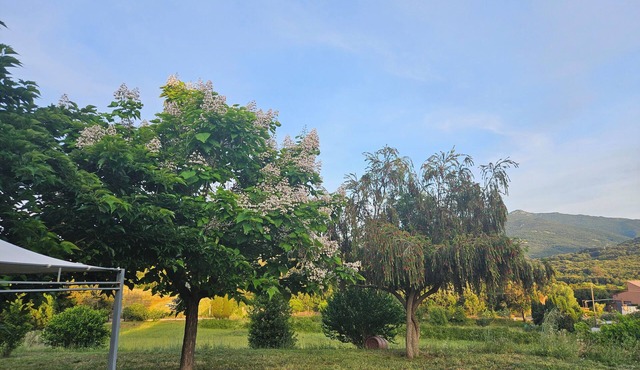 F1 near beach and Porticcio