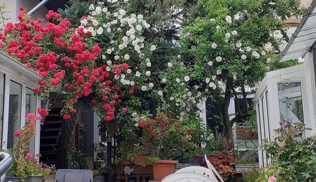 F1 type studio between Strasbourg and Colmar on the wine route.