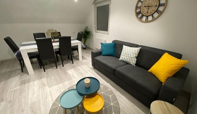 f2 50m2 atypique en souplex vue basilique