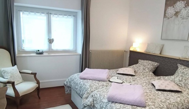 F2 apartment with large terrace in historic center
