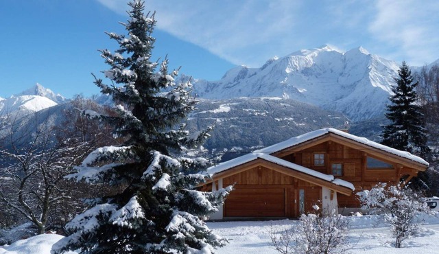 F2 apartment in chalet facing Mont Blanc (pets not allowed)