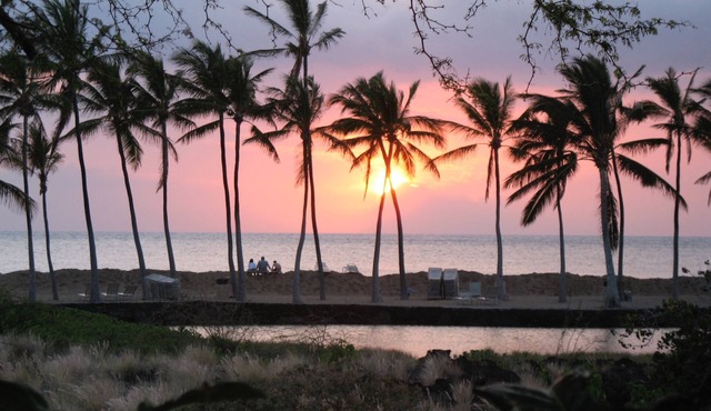 F205 - Great Views -A+A+A+ Luxury- EZ Walk to beach - Golf Discounts - 2 Suites