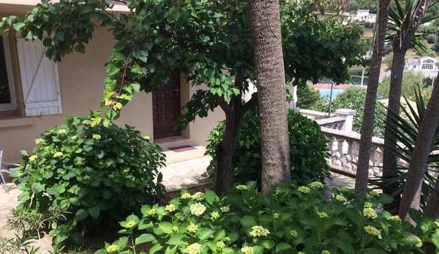 F4 on the ground floor in family house