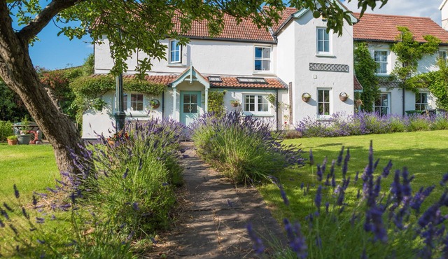 Fab big house near Devon’s surf beaches. Village centre and well equipped.