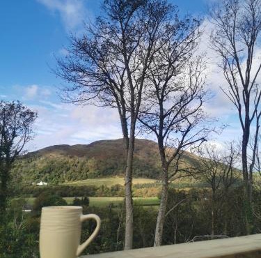 FAB Caravan Holiday Home