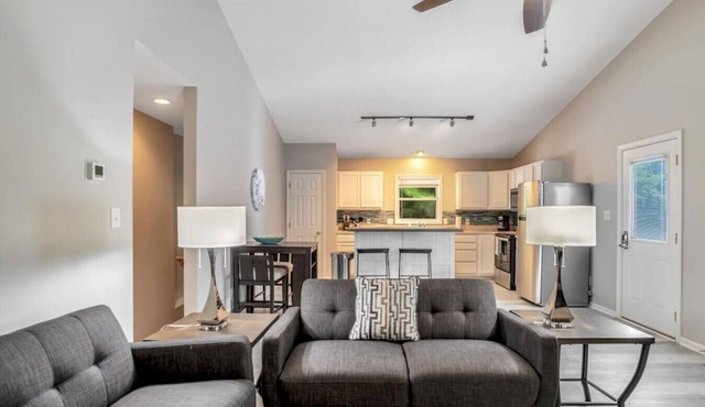 Fab South Asheville Townhome Hot Tub Pet Friendly