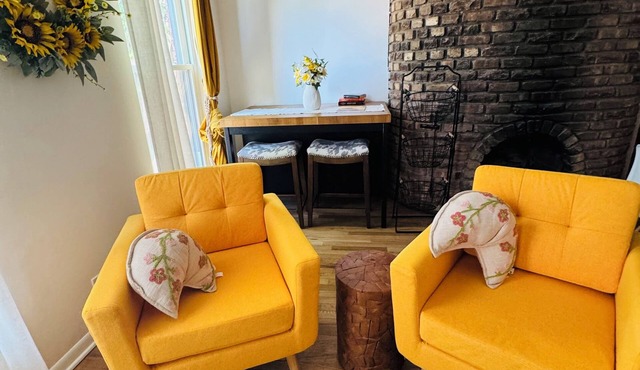 Fabulous 2-bedroom apartment with AC in Chicago