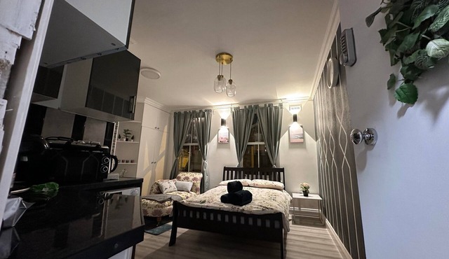 Fabulous Apartment to Acton Town