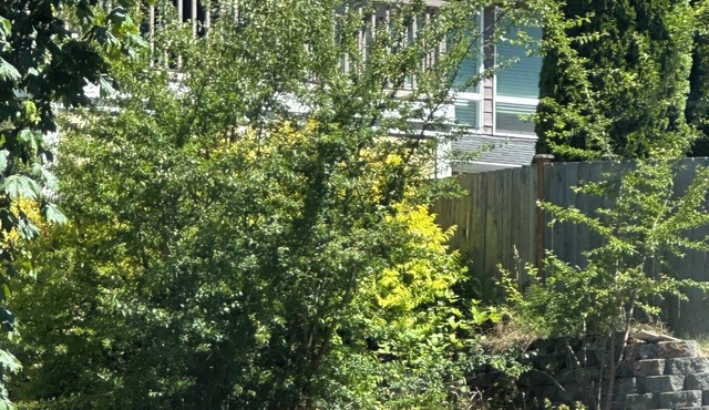 Fabulous cozy Studio with kitchen bathroom Laundry