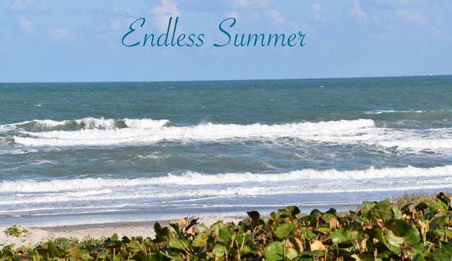 FABULOUS DIRECT BEACHFRONT PRISTINE, PET FRIENDLY, 3 BEDROOM TOWNHOUSE