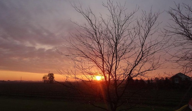 Fabulous Guesthouse B & B Located In The Heart Of Vineyard Country!