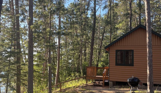 Fabulous lakeside cabin with free dock space! Excellent swimming beach