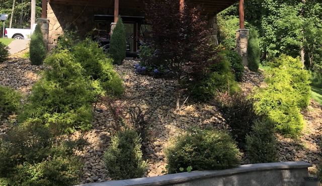 Fabulous Log Cabin on the River! Available for long term rent.