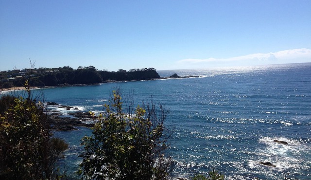 Fabulous ocean views with short walk to the beach -nPet Friendly