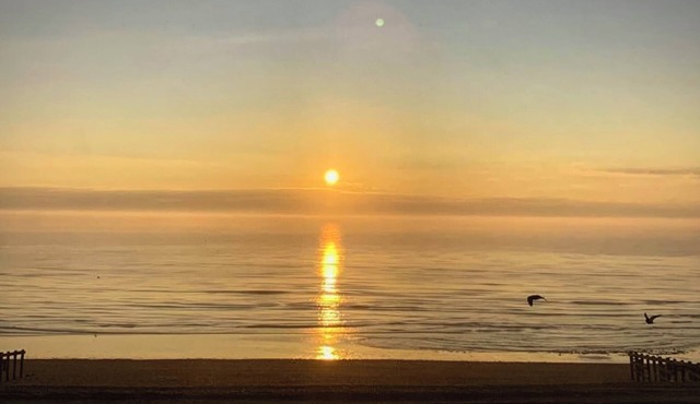 Fabulously Located, Stylish Beachfront Apartment with Free Private Parking