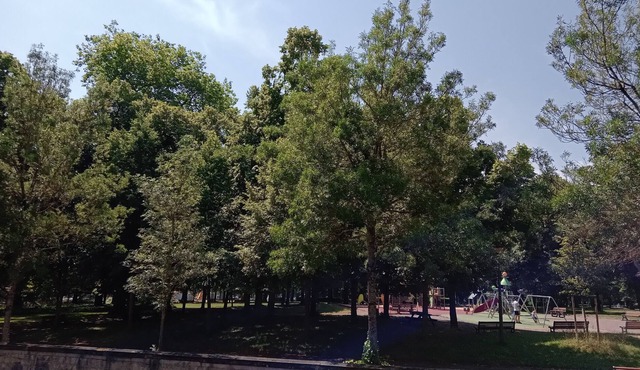 Facing the Park on the Sanctuary side