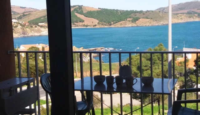 Facing the sea, renovated air-conditioned apartment with terrace, parking,