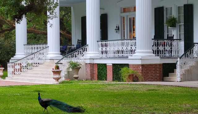 Fairfax Bed and Breakfast