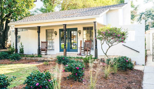 Fairhope Ave Collection - 204