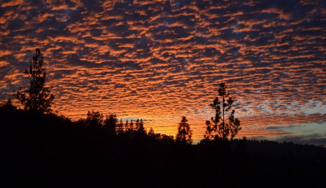 FairPlay Lodge - Relax in Luxury In Wine Country